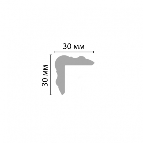 D003-115 ДМ угол (30*30*2000мм)